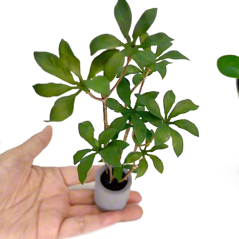 Bonsai Garden Home - 1:6 Dollhouse Miniature Potted Plants Model