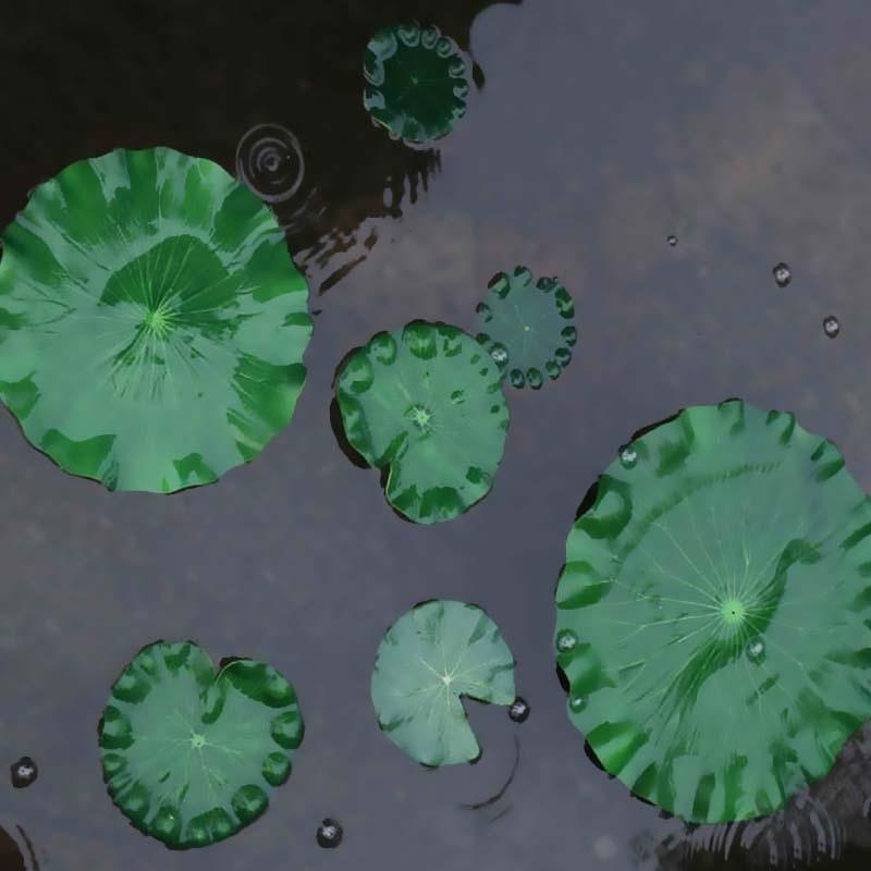 2026 Artificial Water Lily Lot - огляд і ціна Bonsai Garden With Pond