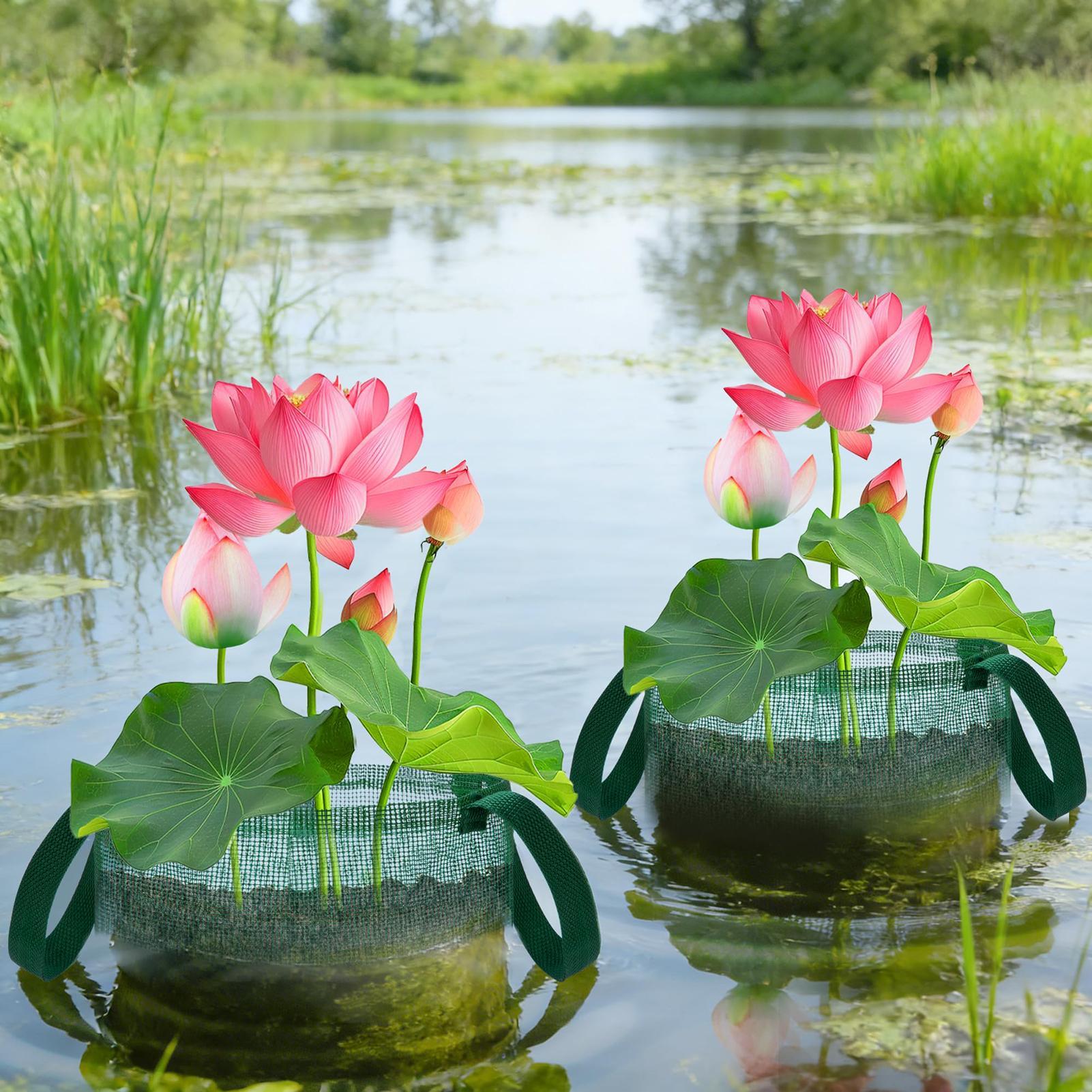 Pond Baskets for Bonsai 4 Piec - огляд і ціна Bonsai Garden With Pond