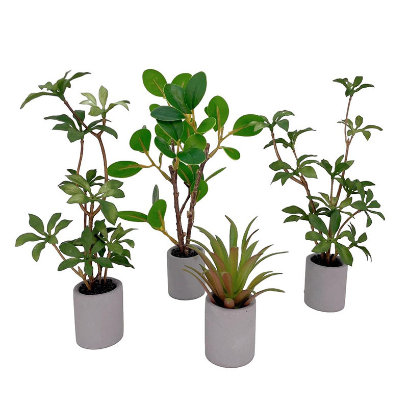 1:6 Dollhouse Miniature Potted - огляд і ціна Bonsai Garden Home