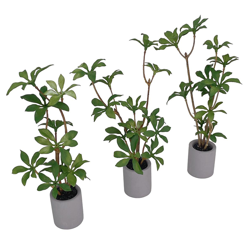 1:6 Dollhouse Miniature Potted - огляд і ціна Bonsai Garden Home