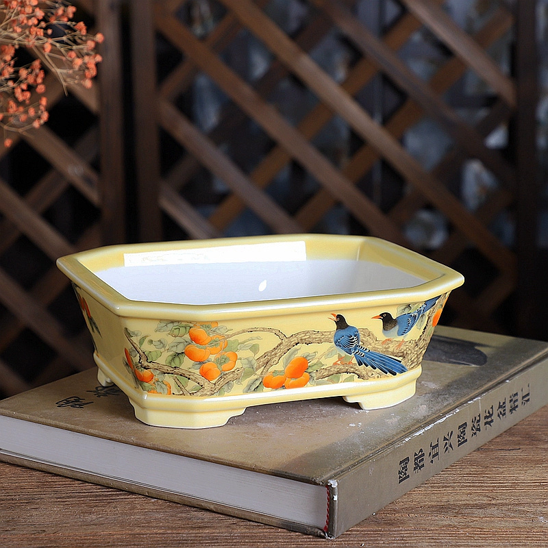 Porcelain Rectangle Bonsai Pot - огляд і ціна Bonsai Garden For Desk