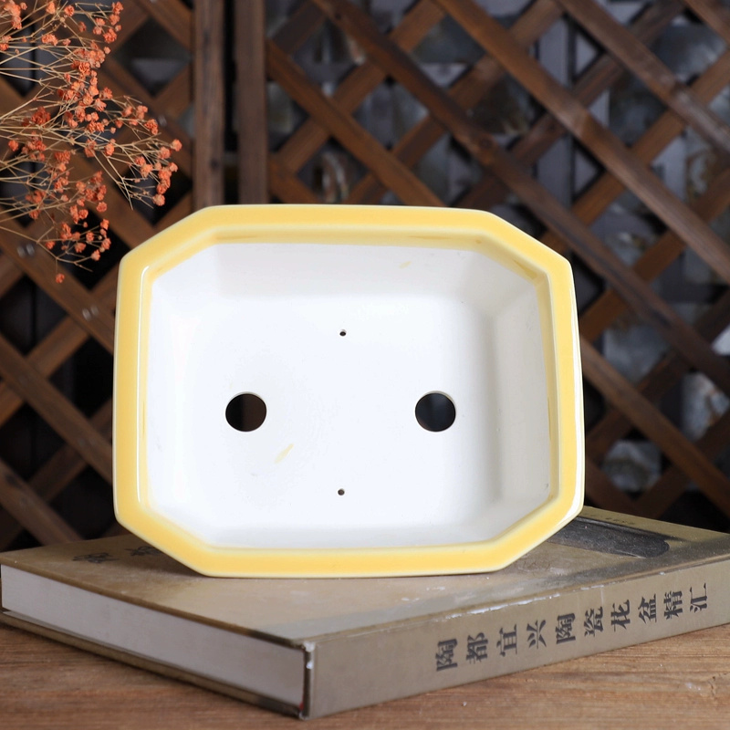 Porcelain Rectangle Bonsai Pot - огляд і ціна Bonsai Garden For Desk