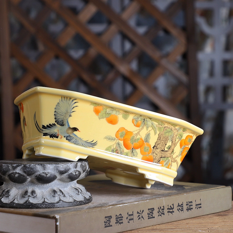 Porcelain Rectangle Bonsai Pot - огляд і ціна Bonsai Garden For Desk