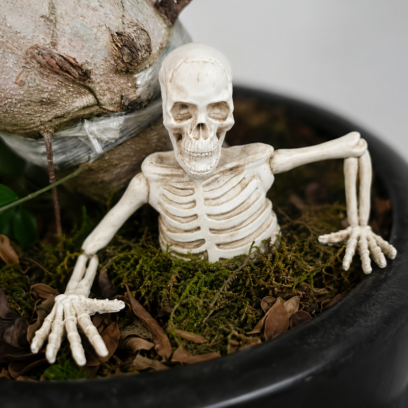 Half-body Climbing Out of the  - огляд і ціна Bonsai Garden Design