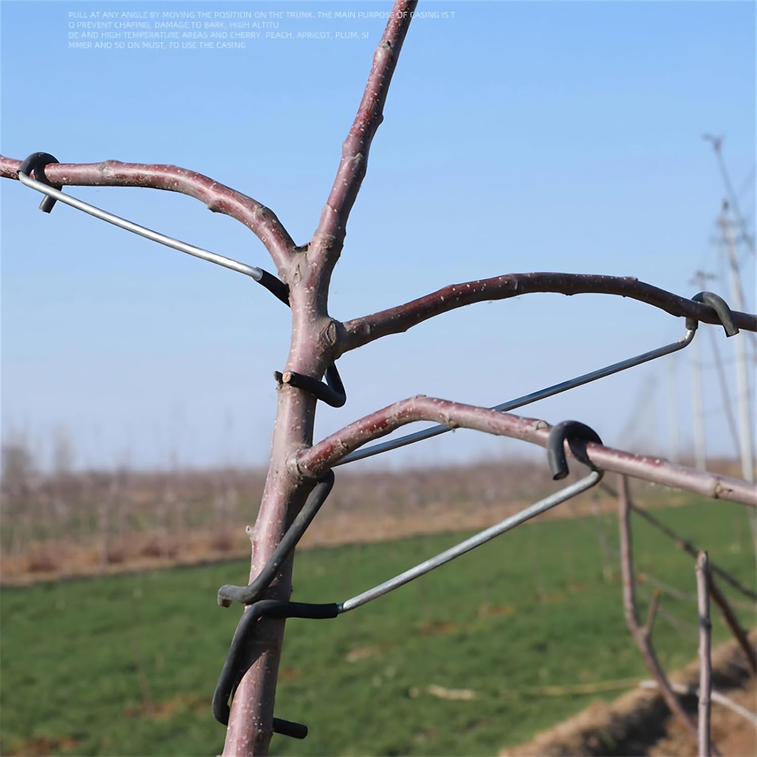 Adjustable Fruit Tree Branch S - огляд і ціна Bonsai Garden Plants