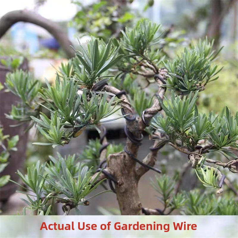 1.5MM Bonsai Wires Aluminum Bo - огляд і ціна Bonsai Garden Plants