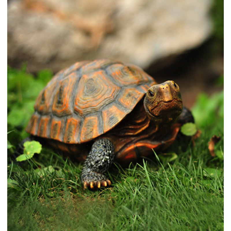 Cute Resin Tortoise Statue Out - огляд і ціна Bonsai Garden With Pond