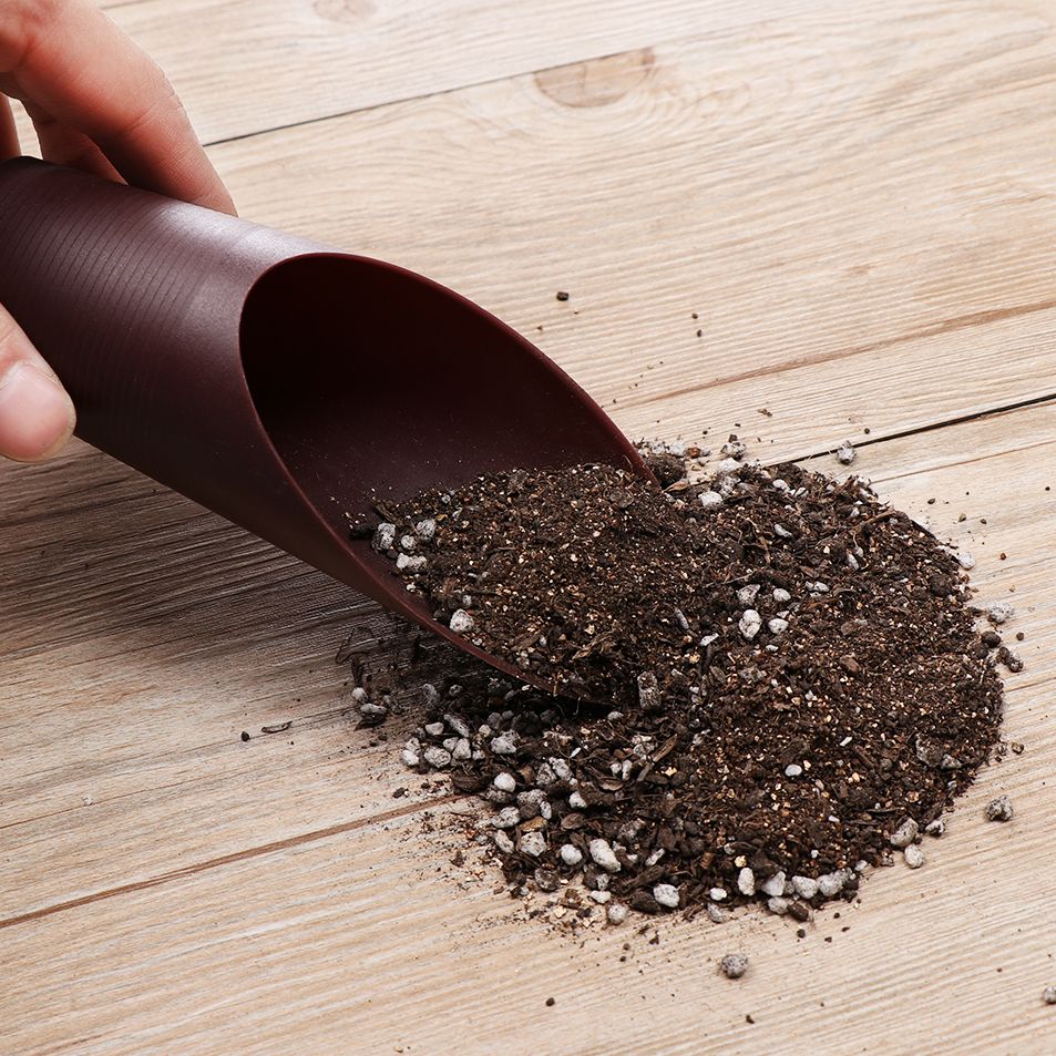 1PC Plastic Soil Shovel Cup Fo - огляд і ціна Bonsai Garden Plants